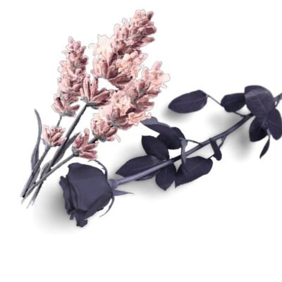 3. Men's Filas <br/> (Two Caps). <br/> - Pink for White Wedding, <br/> - Blue for Trad.