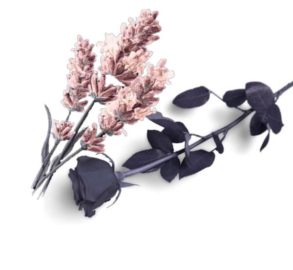 3. Men's Filas <br/> (Two Caps). <br/> - Pink for White Wedding, <br/> - Blue for Trad.